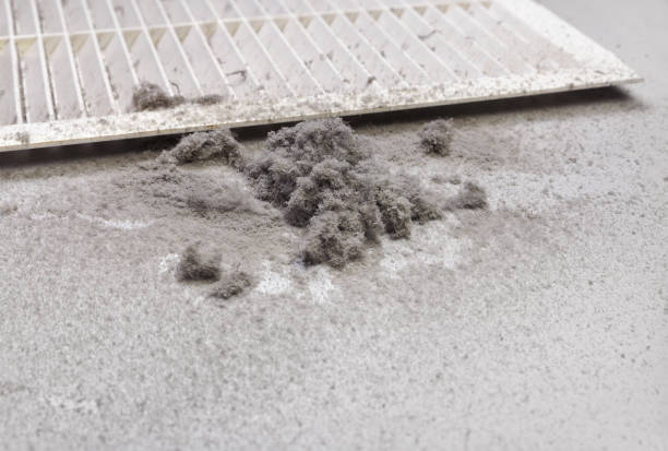Best HVAC Duct Inspection Services  in Beverly Hills, FL